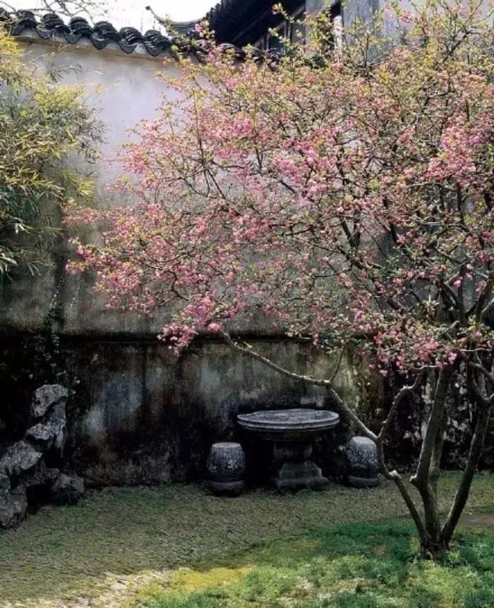 烟雨江湖中的苏式园林,藏在闹市里的江南园林