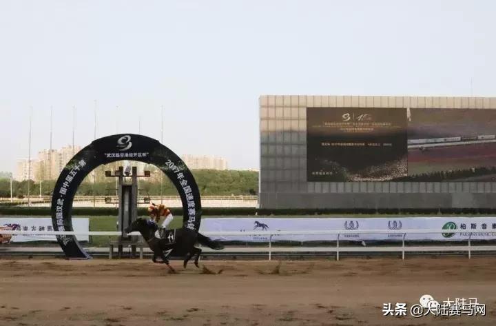 2019年全国速度赛马锦标赛11月2-3日武汉东方马城国际赛马场举行