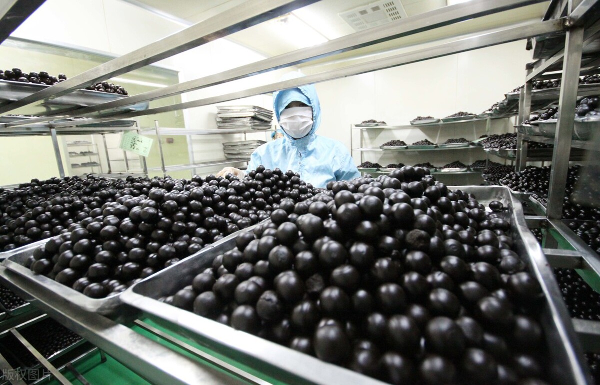 肾阴虚和肾阳虚都能吃什么地黄丸,肾阳虚肾阴虚吃五子衍宗丸管用吗