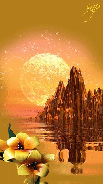 100张会动照片,30张罕见且迷人的图片