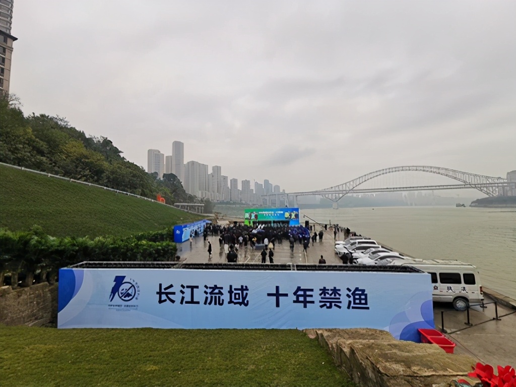 太阳鱼在中国能泛滥成灾吗,太阳鱼入侵的危险