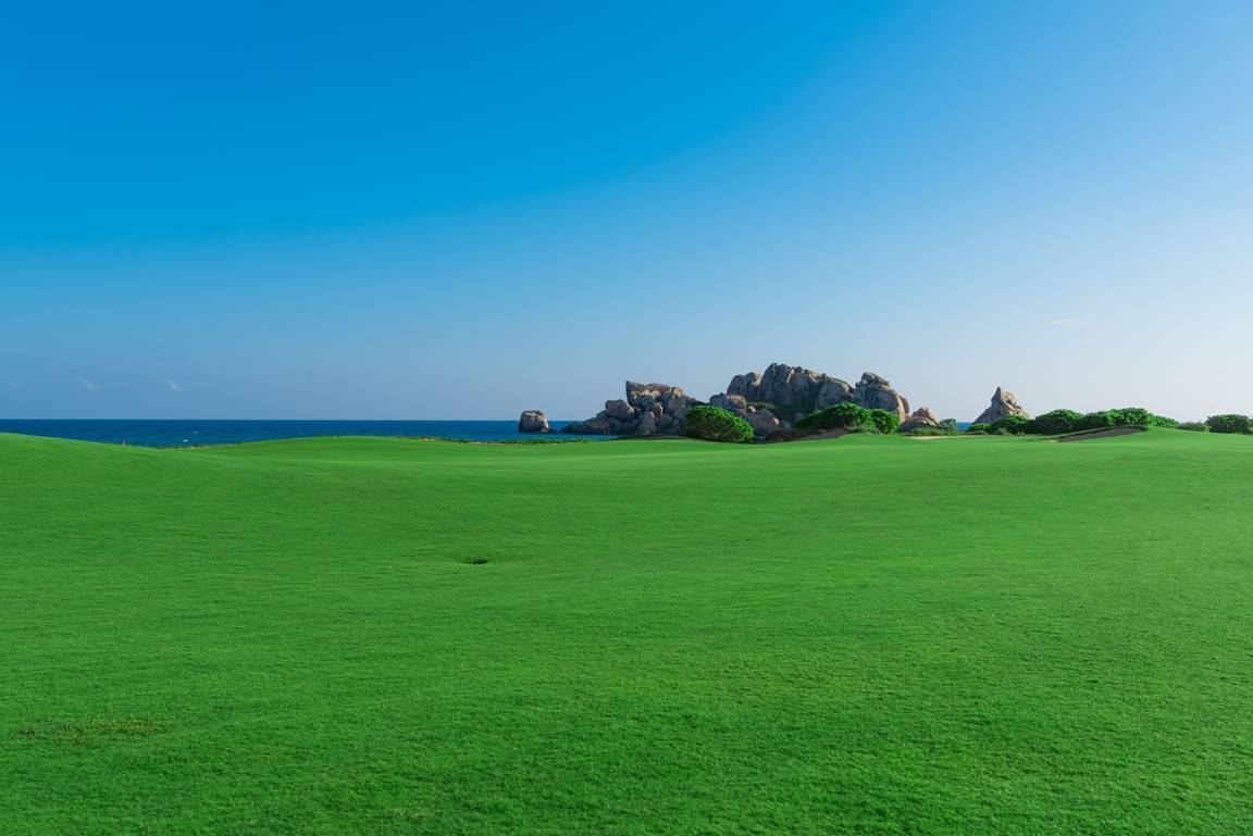 手机拍出大片的拍照app,怎么用一个手机在家就能拍出大片