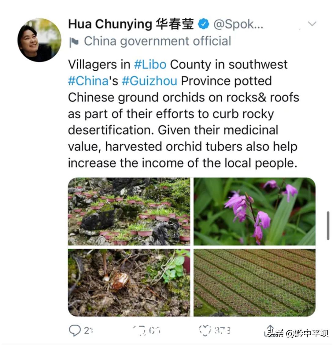 华春莹点赞贵州白及产业正向百亿级发展