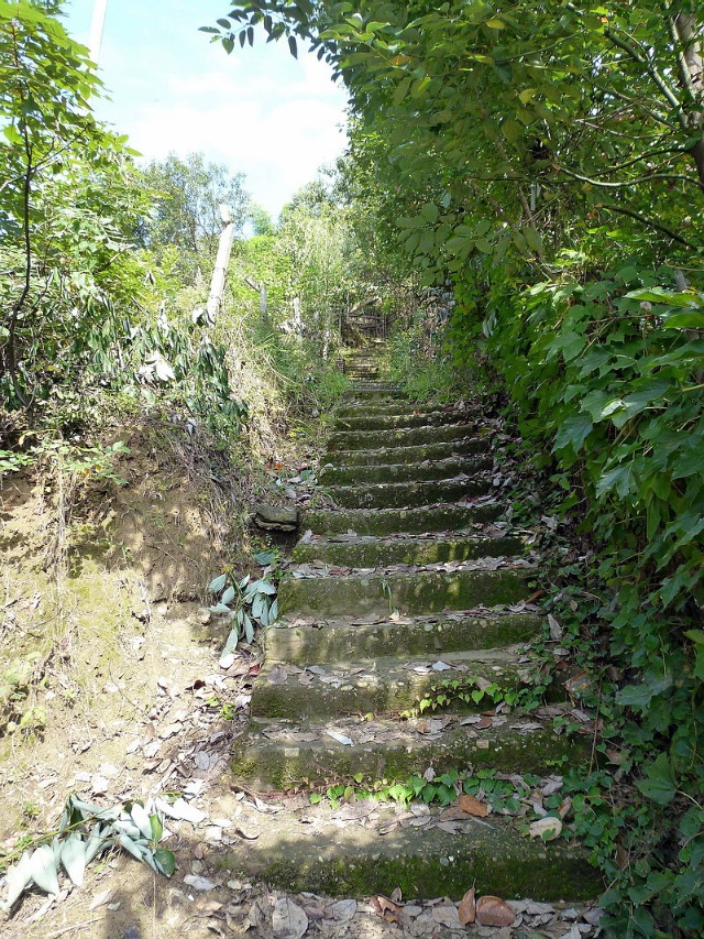 分享老照片，带你走进十年前的宝轮，还是那样的美