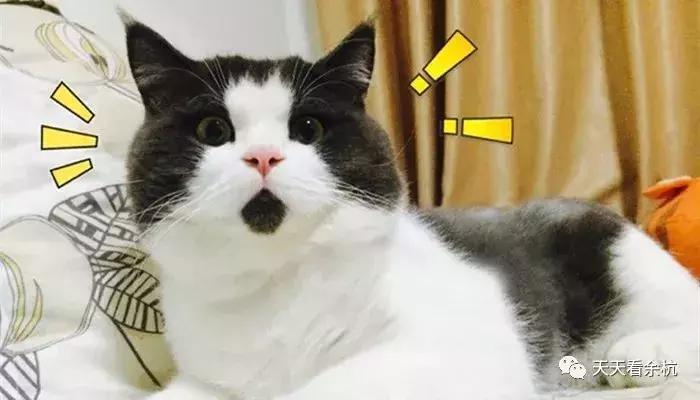 杭州余杭房产捡漏,余杭捡漏房首付52万