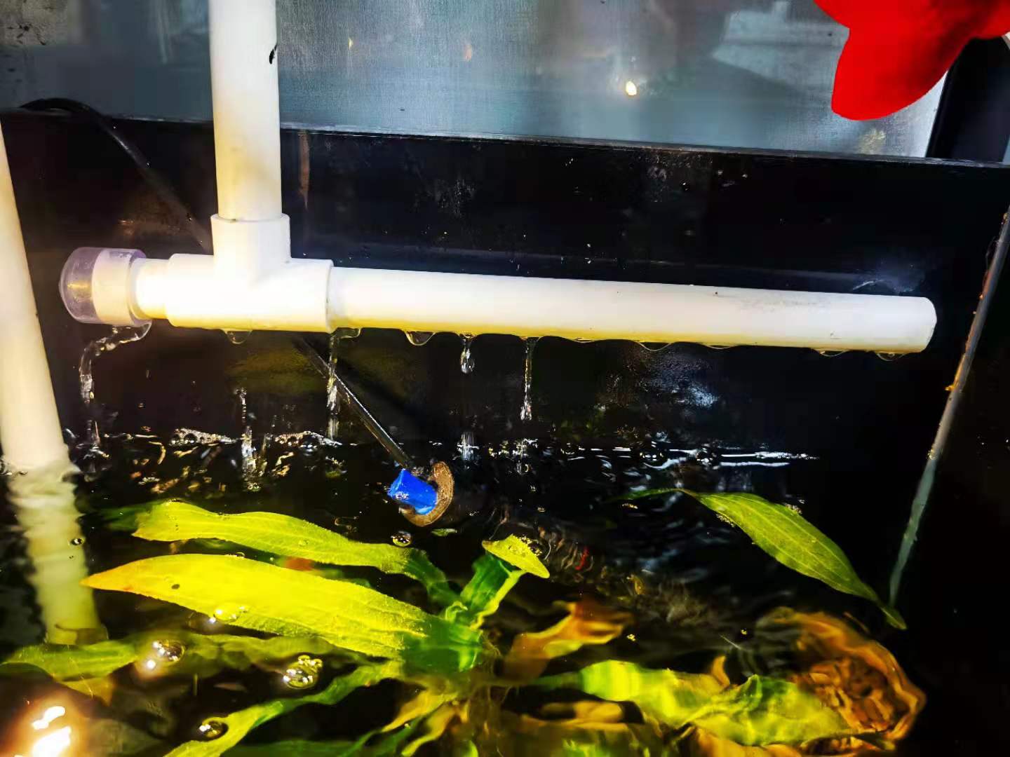 自己改造一体缸,40方缸原生缸用什么过滤好