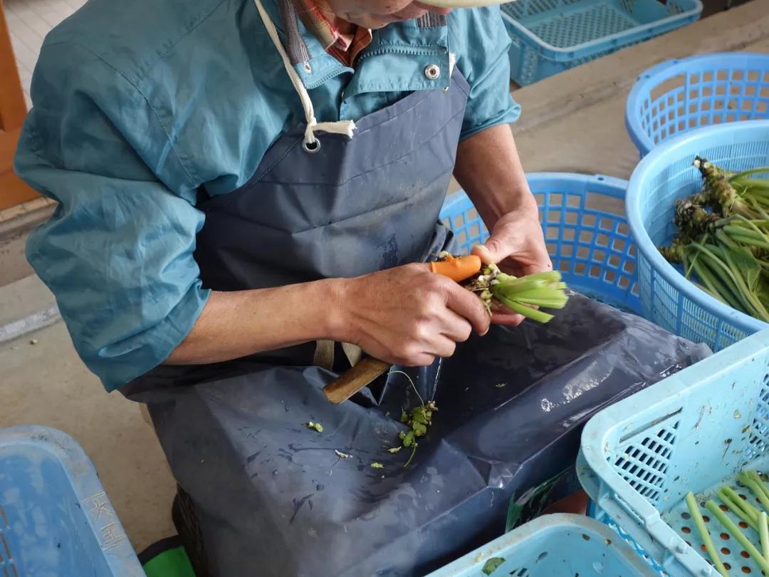 25亩荒地居然年游客竟然超过100万