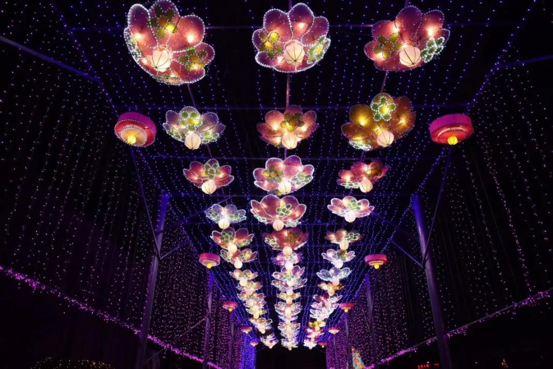 大连东港花灯和金石滩花灯,金石滩灯展卡通花灯有哪些