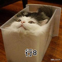 沙雕手办日本小哥,日本沙雕手办小哥哥