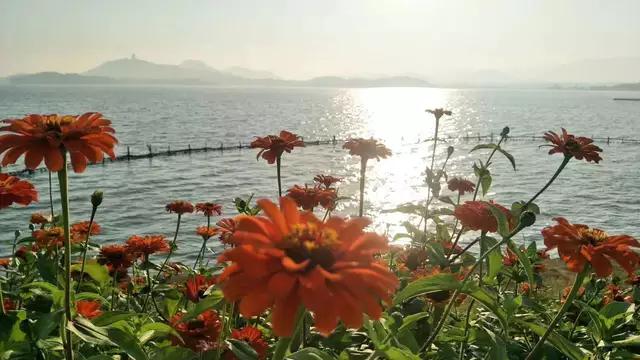 英语单词速记100讲视频,英语单词10分钟学习