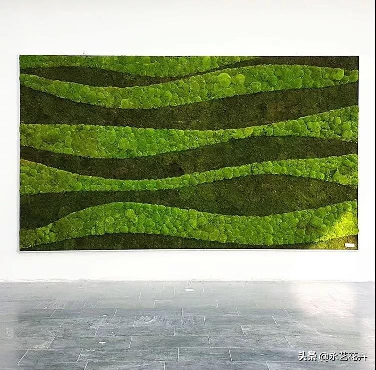 永生花苔藓植物墙,永生苔藓的价格