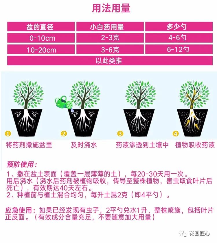 预防植物病虫害用什么药,植物病虫害防治的基本方法