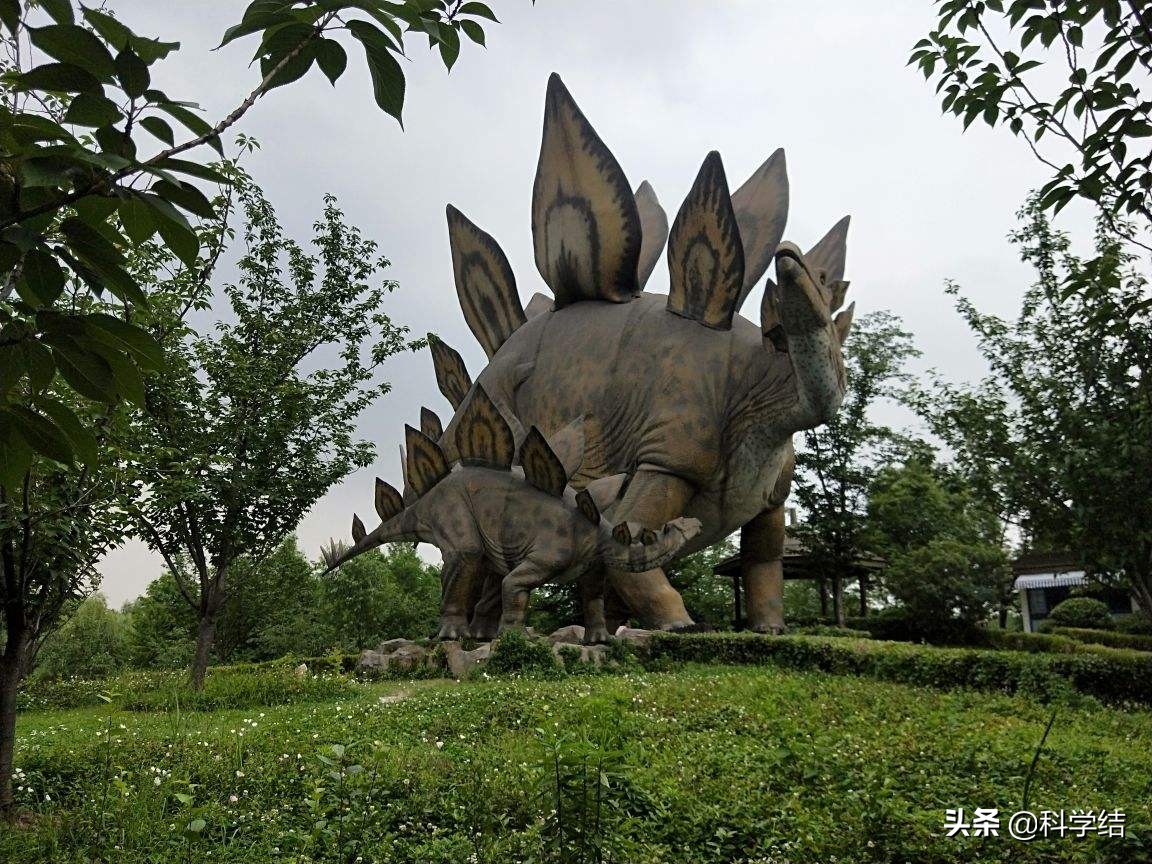 为什么有克隆技术动物还会灭绝,近代灭绝动物可以克隆复活吗