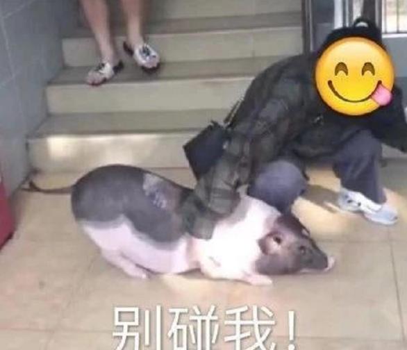 大学宿舍违禁品有权没收吗,大学宿舍禁止使用违规电器