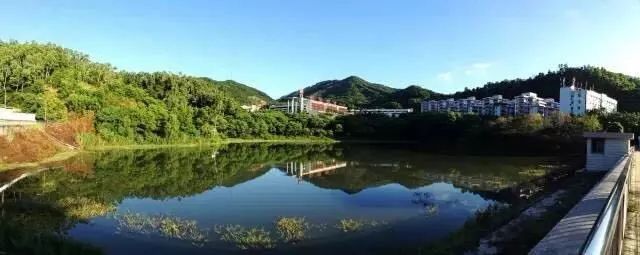 “在红岭中学就读是一种怎样的体验?”