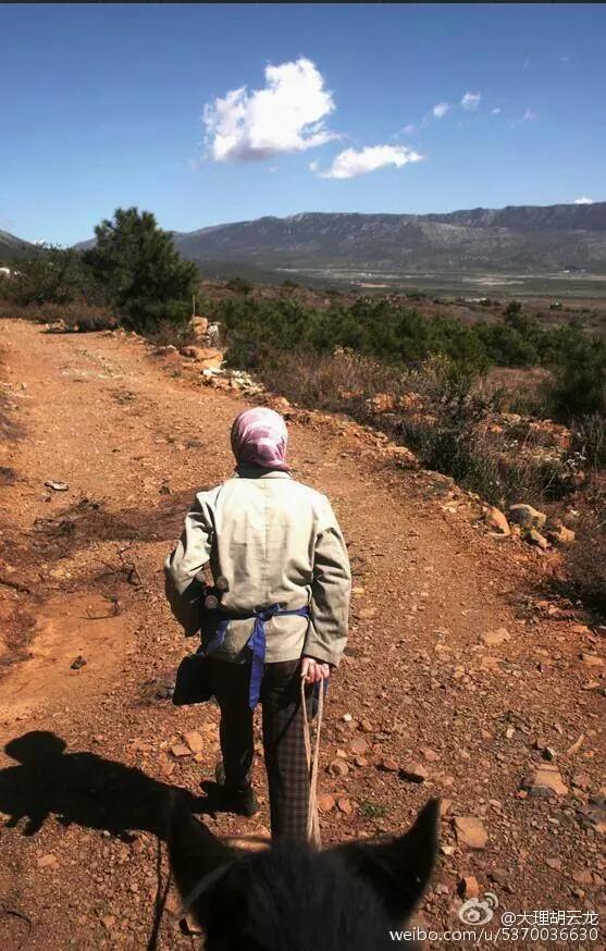 玉龙雪山附近原始村落,玉龙雪山下的村叫什么