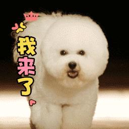 入境澳洲有哪些东西不能带？又有哪些东西需要申报呢？