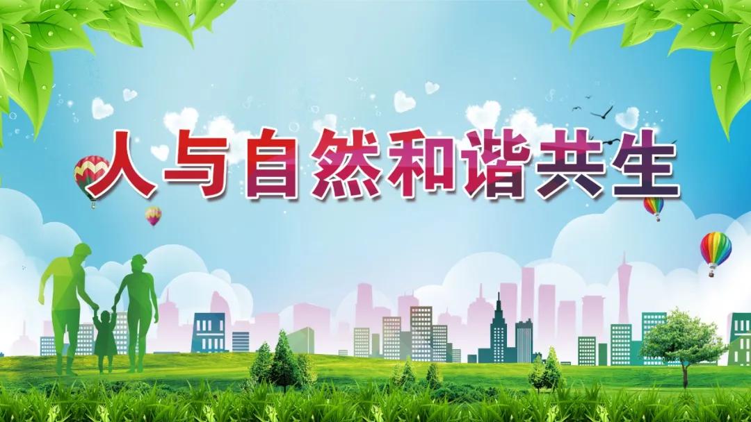 凉山业余足球联赛2024,2019年四川足球业余联赛凉山赛区
