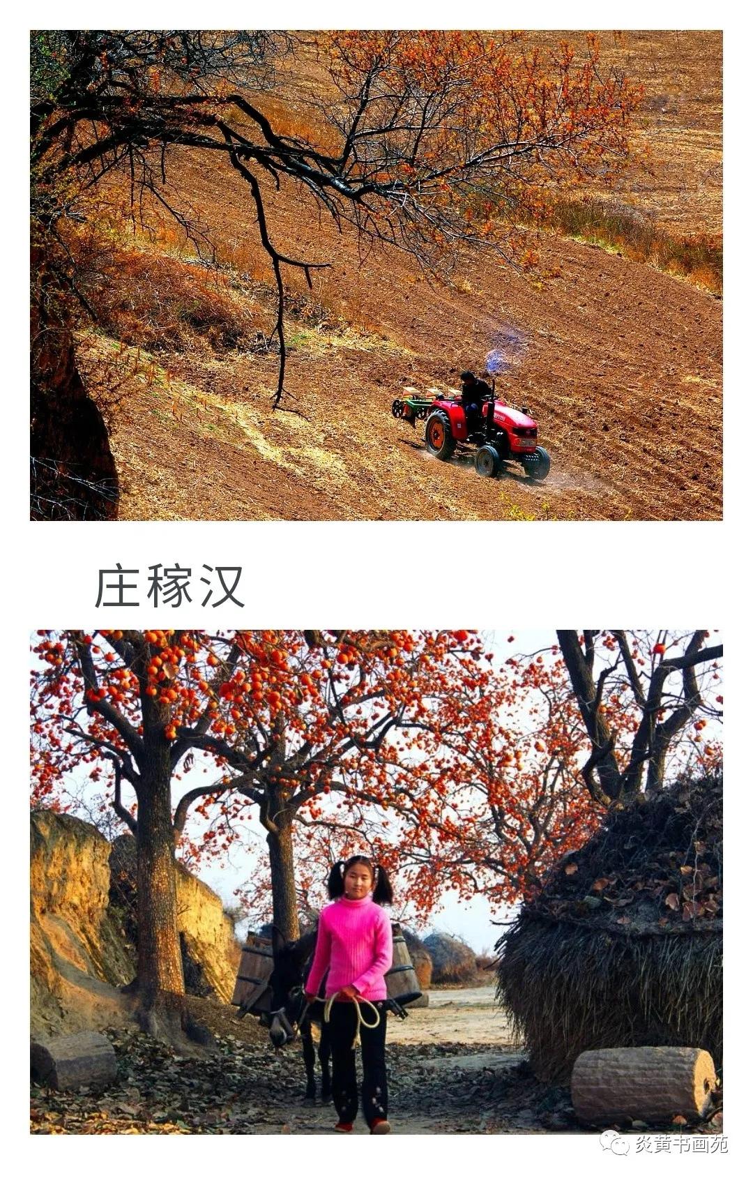 延安摄影家协会摄影作品,延安摄影家协会