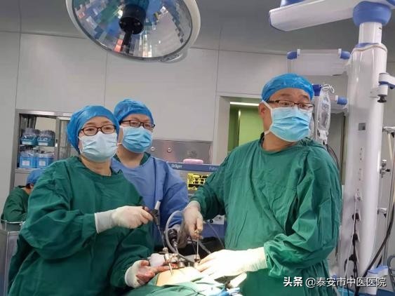 中医优势病种诊疗精要,中医特有专长和新中医专长