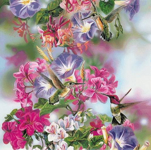 我的家庭相册书籍,我的家庭相册黑白人像