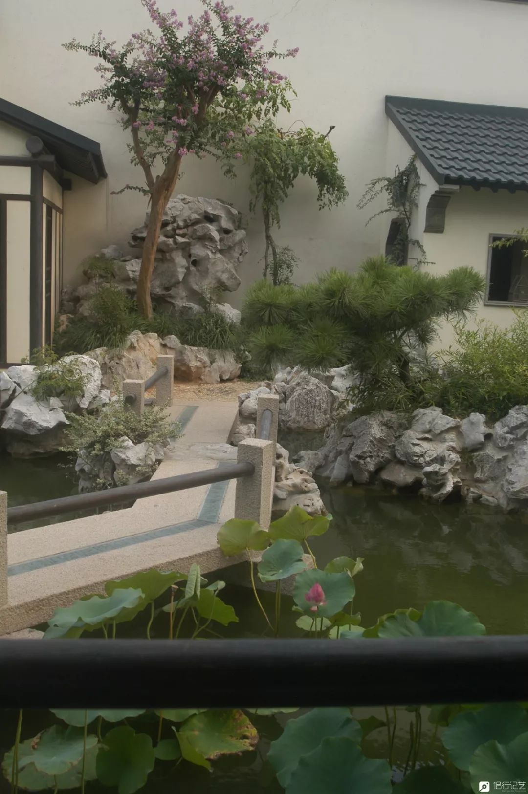 大叔花700万建的花园别墅,太湖石苏州