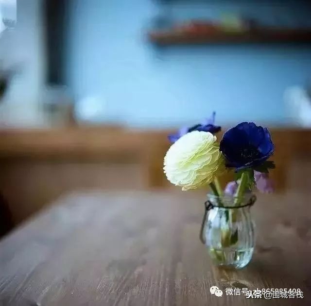 红颜知己是一种浪漫的境界,蓝颜和红颜知己存在的最高境界