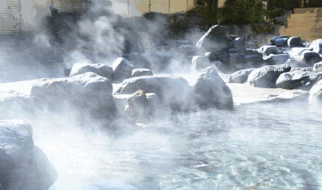 没有孵过混堂的上海冬天，是不完整的