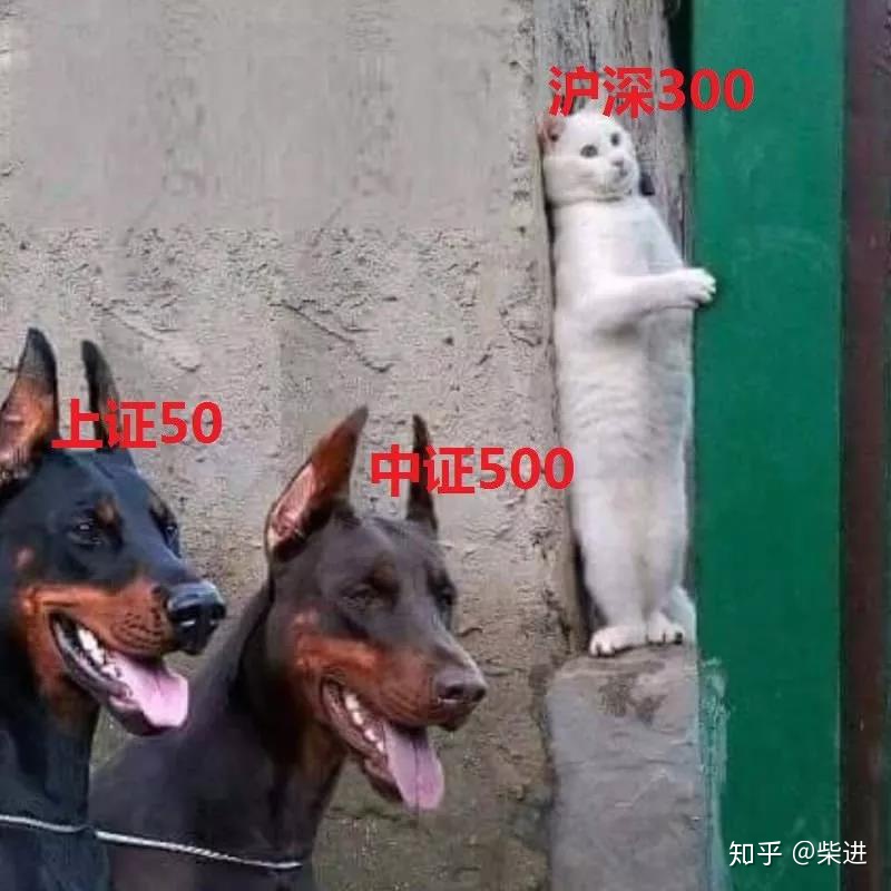 沪深300上证50中证500有什么区别,沪深300上证50中证500分别指的啥