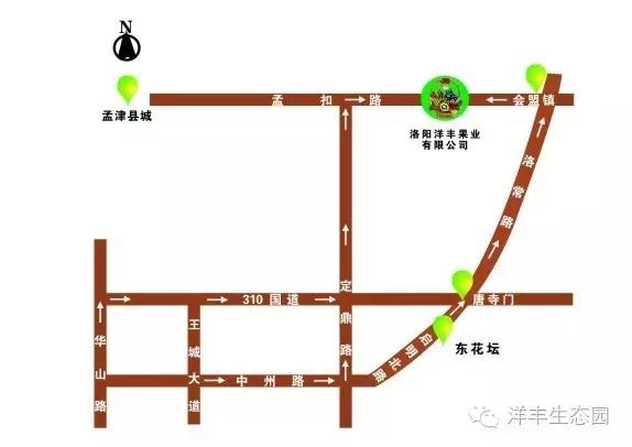 洛阳采摘蔬菜园都有哪些,有机蔬菜采摘园洛阳