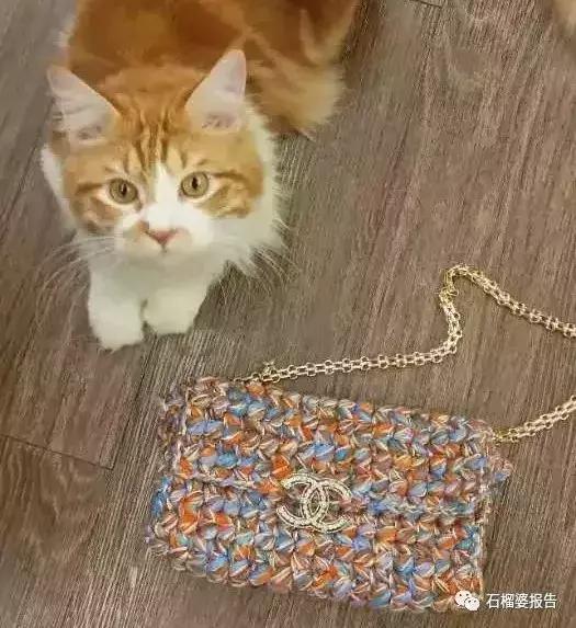 不需要太高预算,这些两三千块的包就超好看