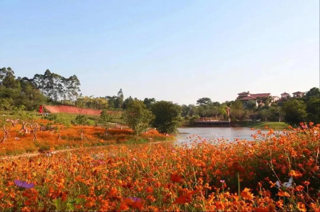 清远美林湖温泉酒店,清远美林湖温泉度假村五一专享