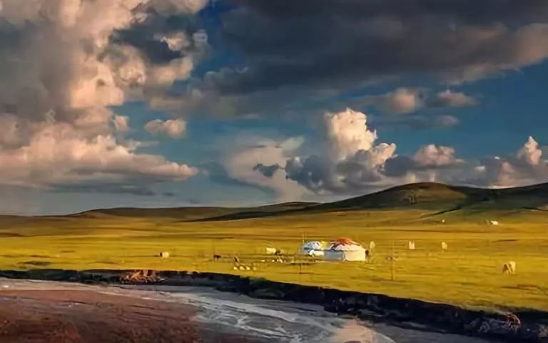 天上的草原作者阿木古郎,天上的草原阿木古郎