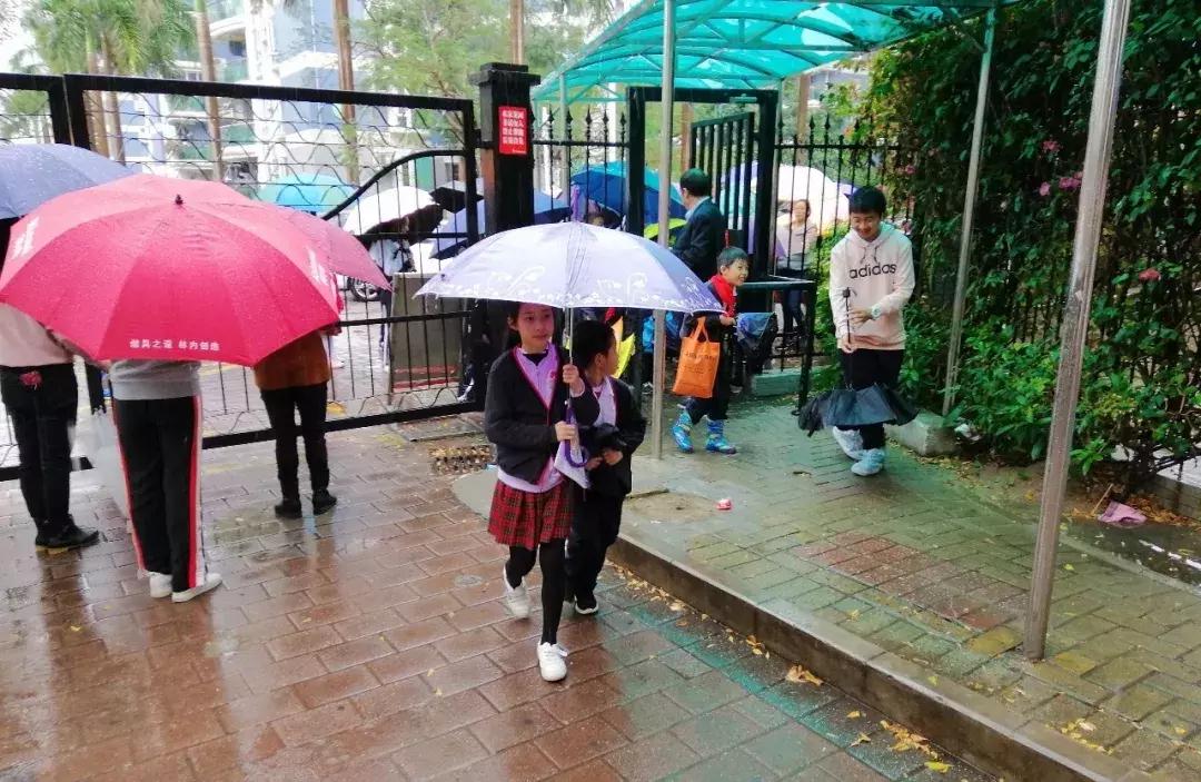 龙岗花式“开学”，各路“豪杰”助力，快来一探究竟吧～