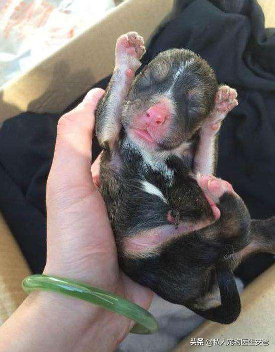 怎么为母乳喂养做准备,怎么为母亲办好后事