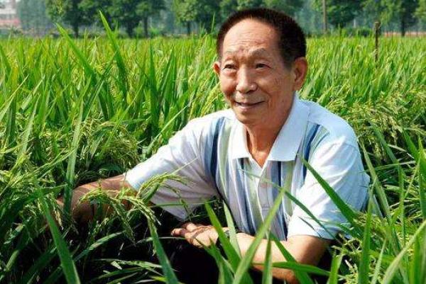 酸奶和哪些食物不能吃,酸奶吃多了会不会引起胃不舒服