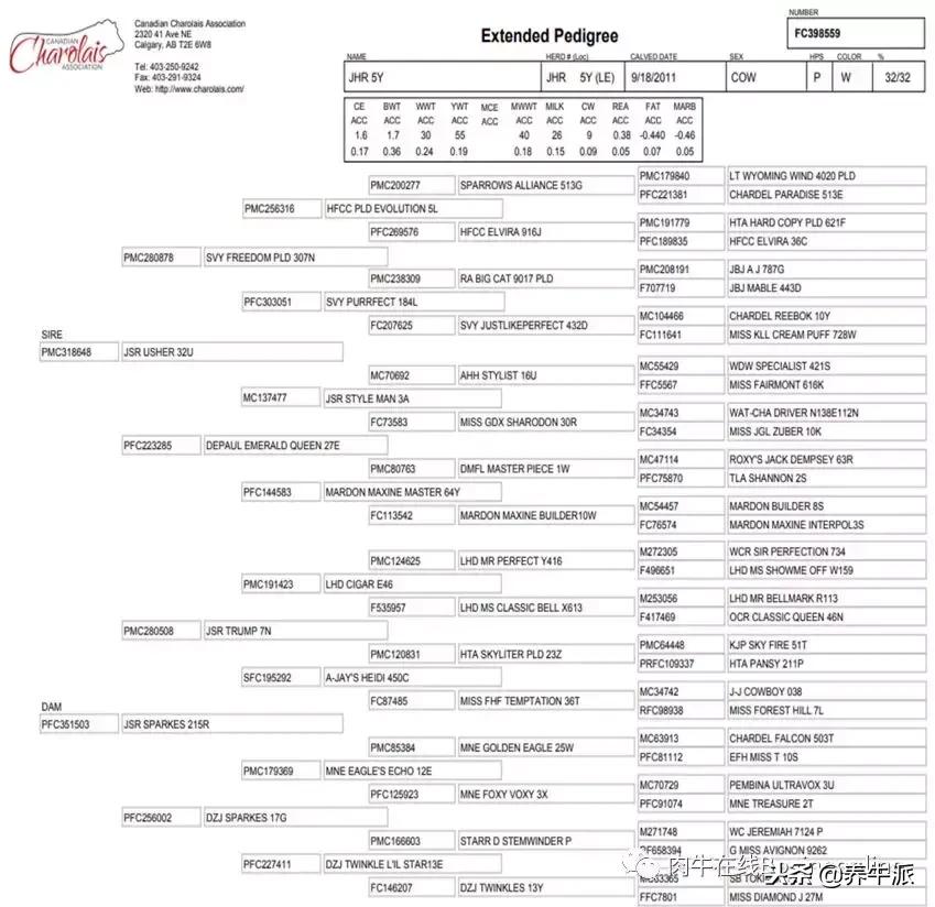 加拿大肉牛产业发展动态,加拿大肉牛发展
