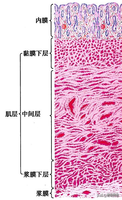 经期遇上浑身疼痛怎么办,经期闹心怎么缓解