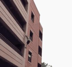 搞笑gif说出来你可能不信,搞笑gif真是令人窒息的操作