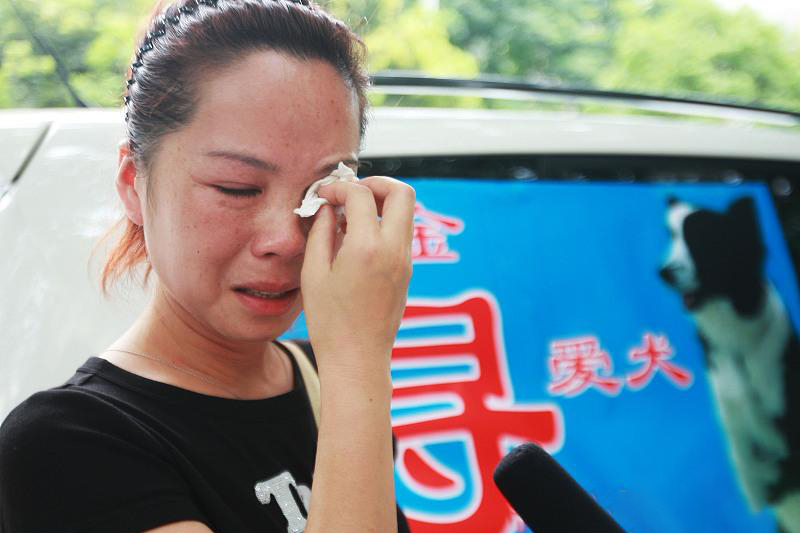 泰迪走失2天,泰迪走失后坐在原地