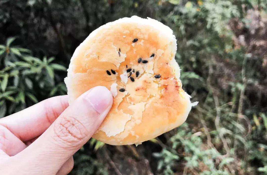 越过山丘才发现它如此优秀,越过山丘发现一无所有