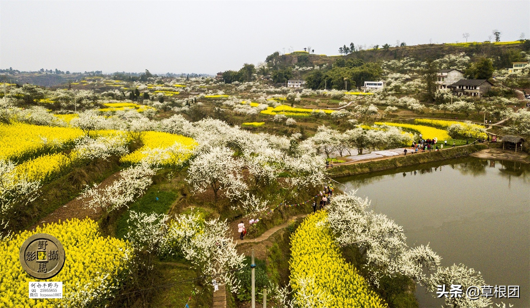 原广安县代市区有几个公社,广安消失的街道