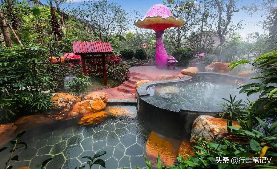 佛山高明白鹭湖森林度假村,广东佛山清远景点推荐