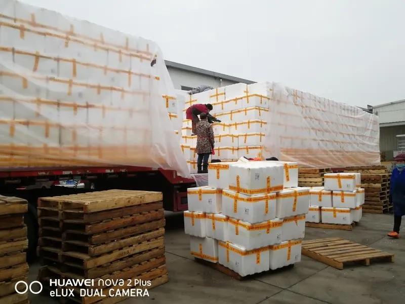 【战疫行动】黄州人,你下单代购的蔬果都是从哪里、怎么来的?——保供“战场”系列报道(四)