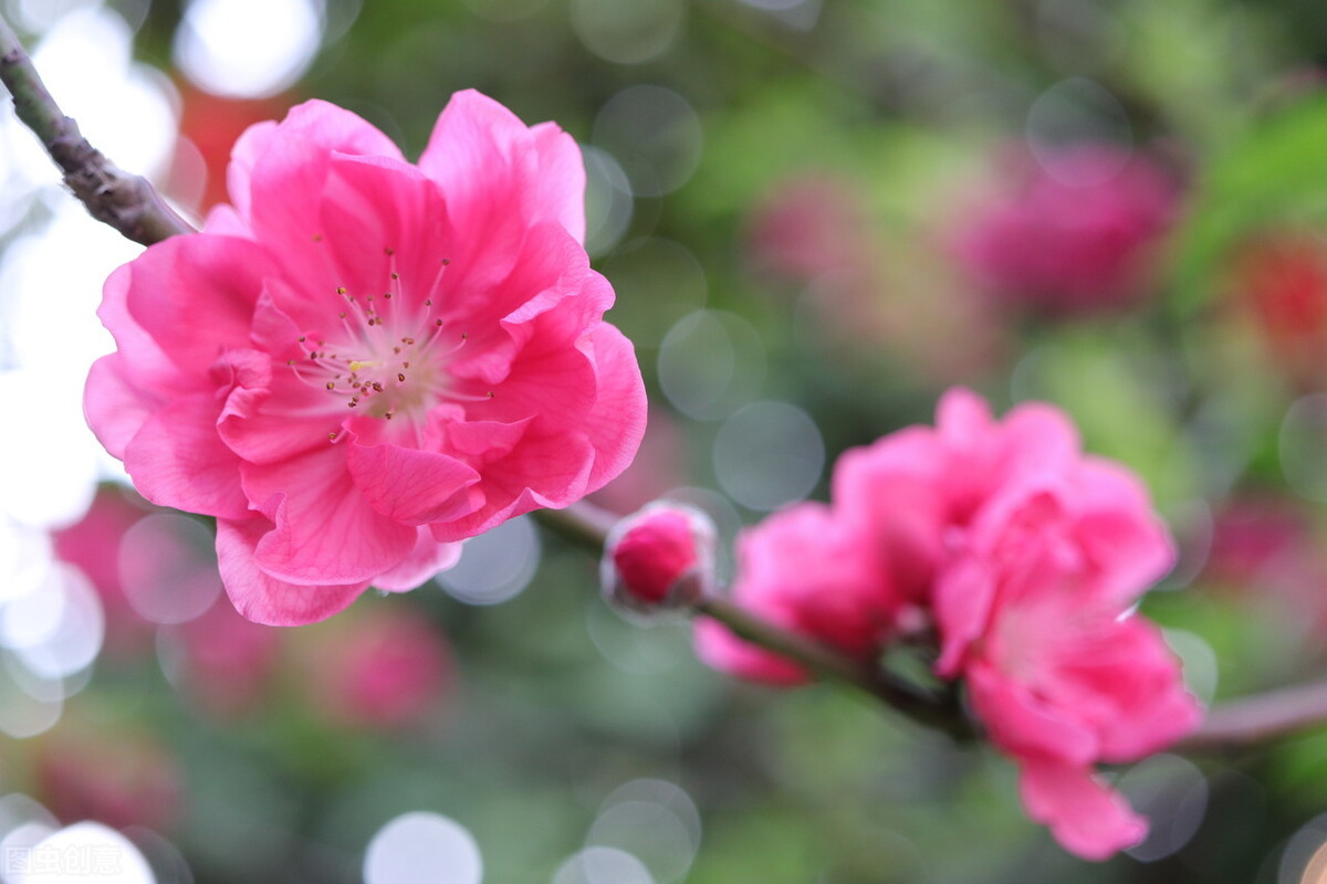 述职报告,转正述职报告