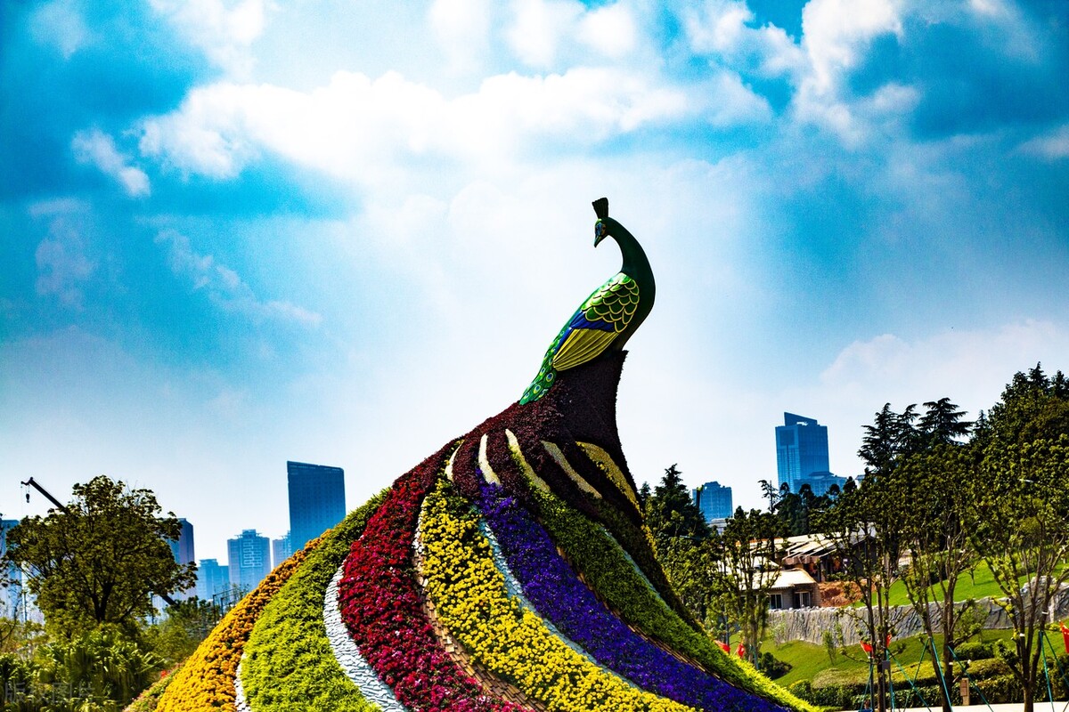 昆明世博园是免费参观的吗,第一次来昆明的感受