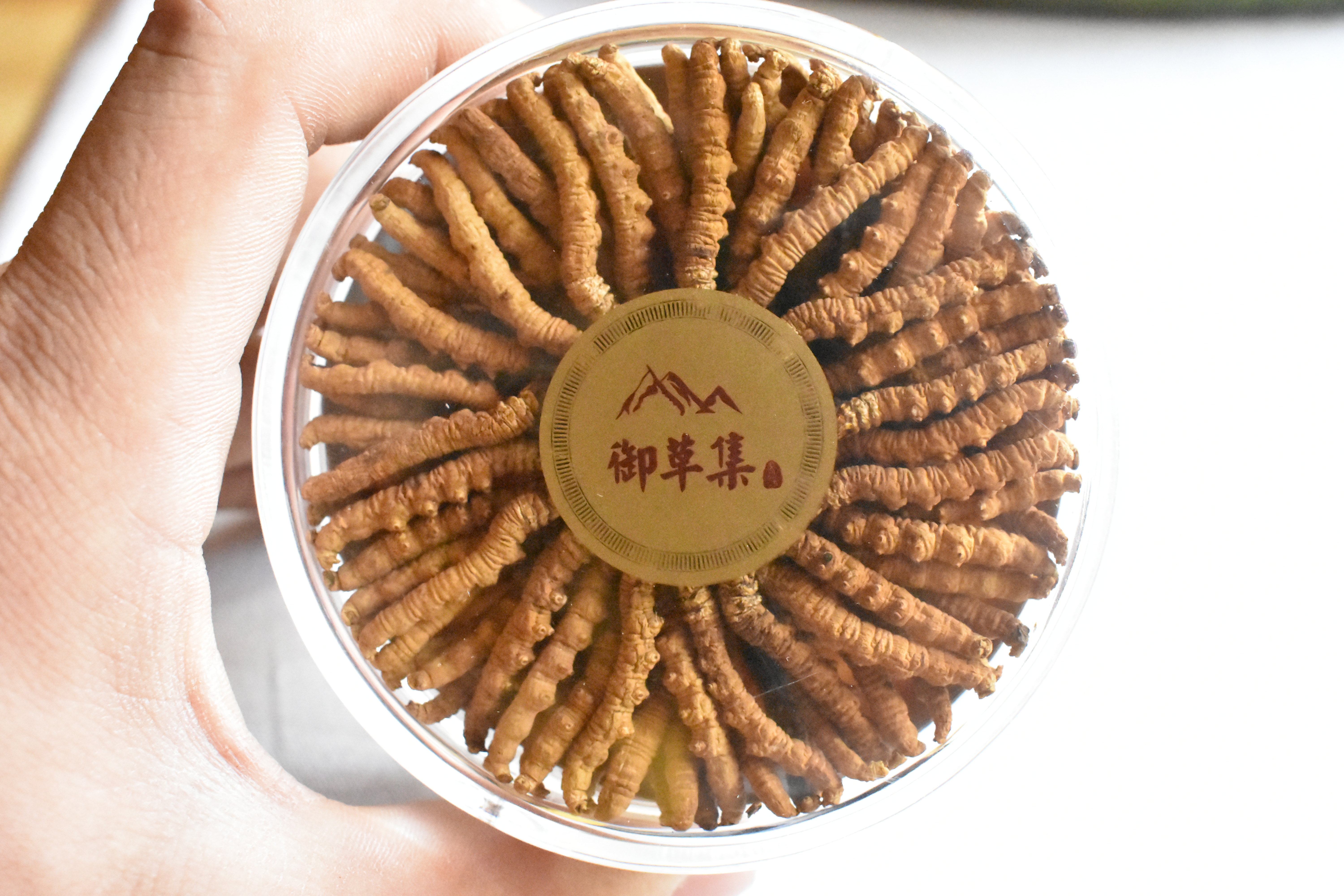 冬虫夏草过期了没发霉,买了冬虫夏草很贵怎么发表说说