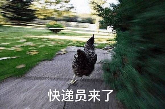 快递血泪史详细介绍,快递进化史菜鸟