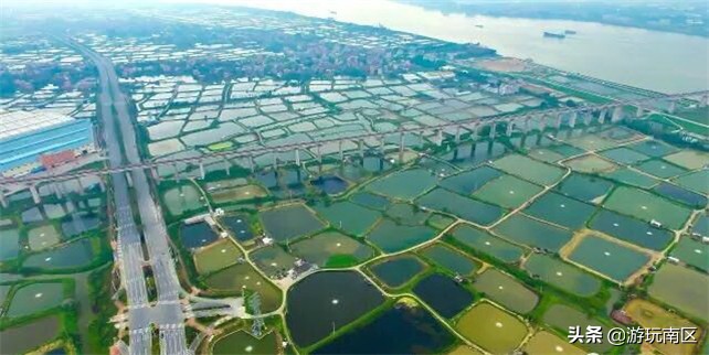 水上龙门与草上鸭场已准备，各位选手请就位