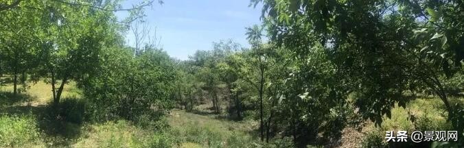 自然生态休闲公园设计案例,十大城市公园景观设计案例